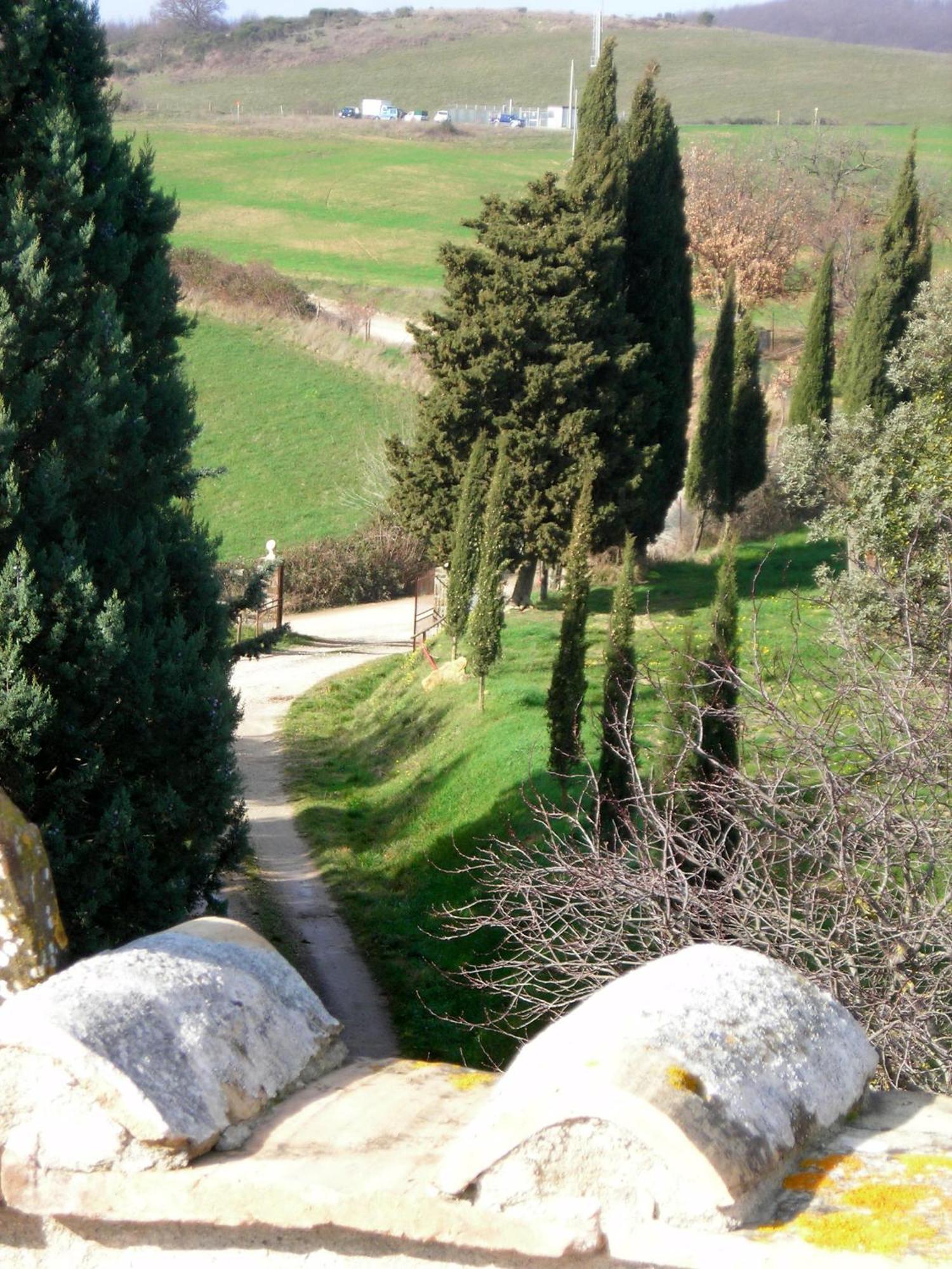 Agriturismo Il Cocco Villa Montalcino Exterior foto