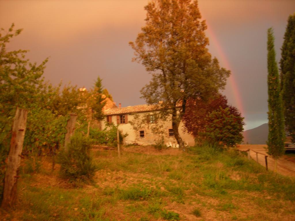 Agriturismo Il Cocco Villa Montalcino Exterior foto